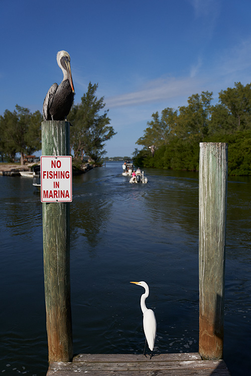 Little Gasparilla Island Florida
